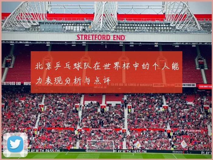北京乒乓球队在世界杯中的个人能力表现分析与点评