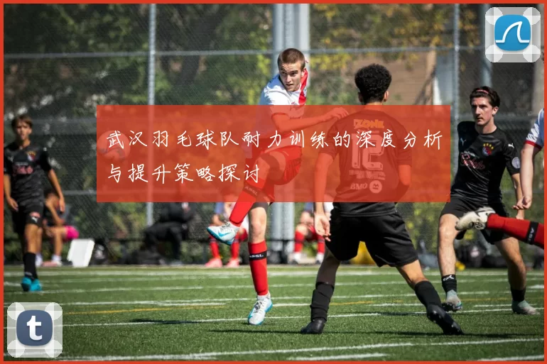 武汉羽毛球队耐力训练的深度分析与提升策略探讨