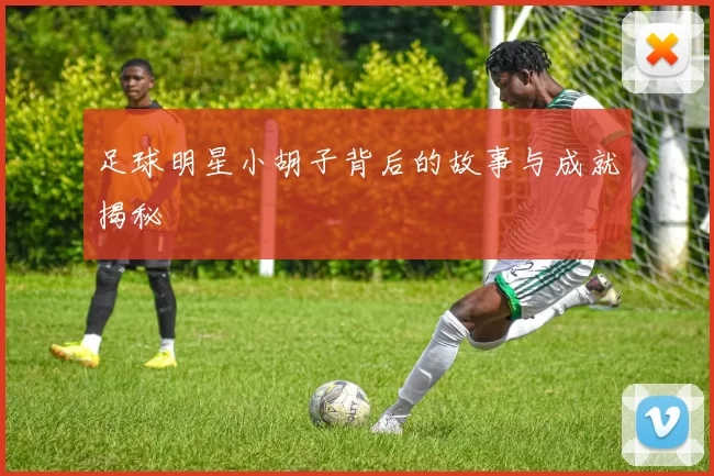 足球明星小胡子背后的故事与成就揭秘