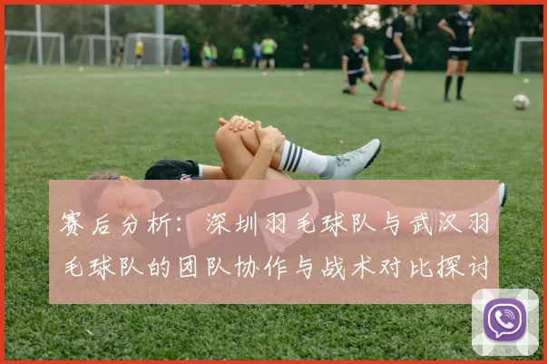 赛后分析：深圳羽毛球队与武汉羽毛球队的团队协作与战术对比探讨