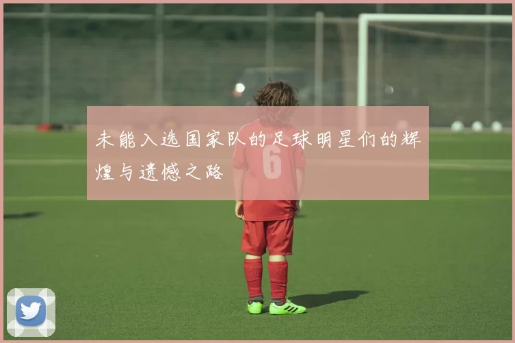 未能入选国家队的足球明星们的辉煌与遗憾之路