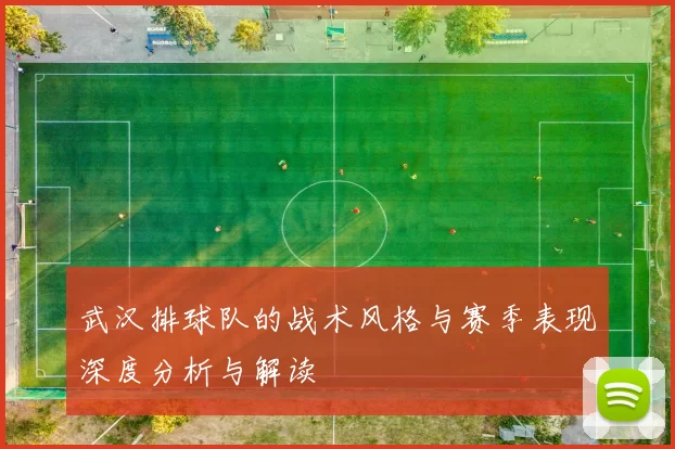 武汉排球队的战术风格与赛季表现深度分析与解读