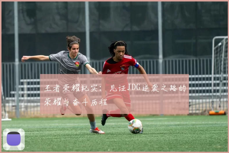王者荣耀纪实：见证JDG逆袭之路的荣耀与奋斗历程