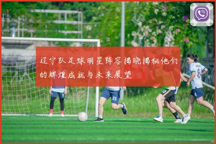 辽宁队足球明星阵容揭晓揭秘他们的辉煌成就与未来展望
