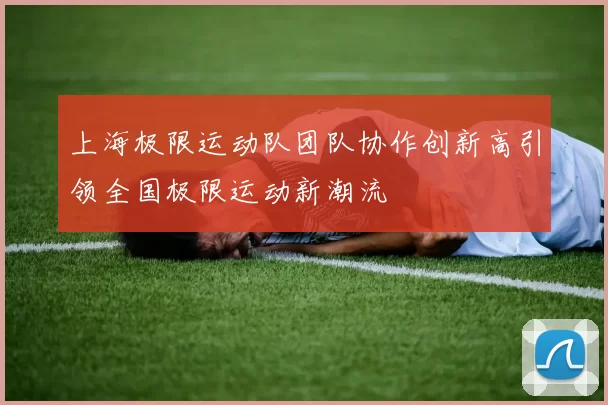 上海极限运动队团队协作创新高引领全国极限运动新潮流