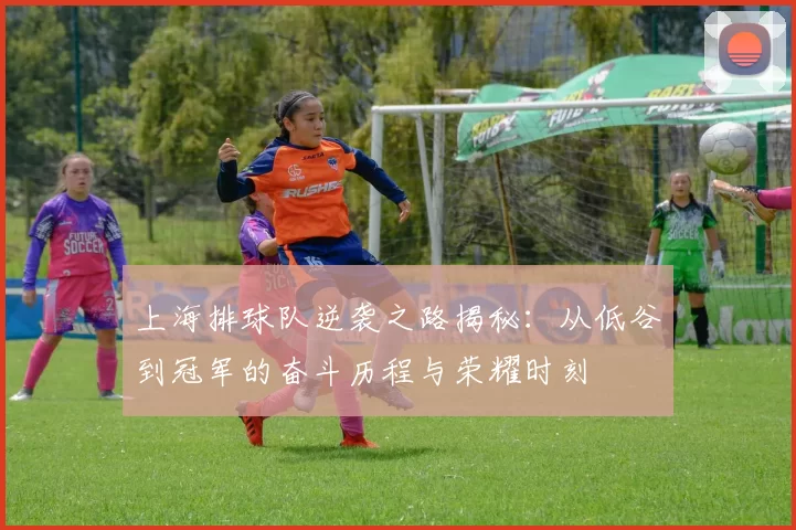 上海排球队逆袭之路揭秘：从低谷到冠军的奋斗历程与荣耀时刻
