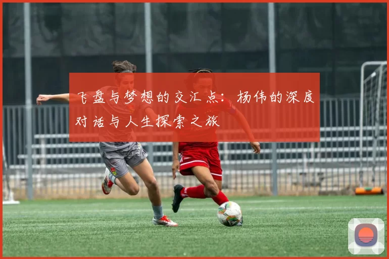 飞盘与梦想的交汇点：杨伟的深度对话与人生探索之旅