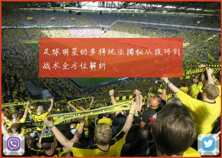 足球明星的多样玩法揭秘从技巧到战术全方位解析