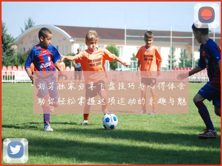 刘芳独家分享飞盘技巧与心得体会助你轻松掌握这项运动的乐趣与魅力