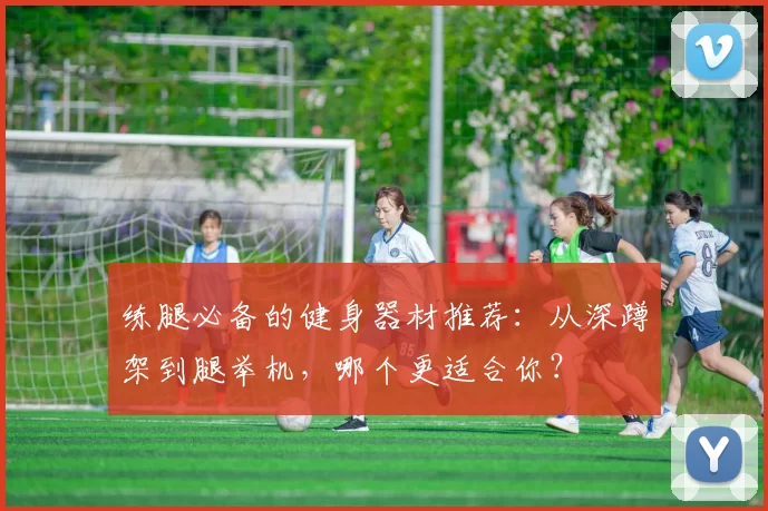 练腿必备的健身器材推荐：从深蹲架到腿举机，哪个更适合你？