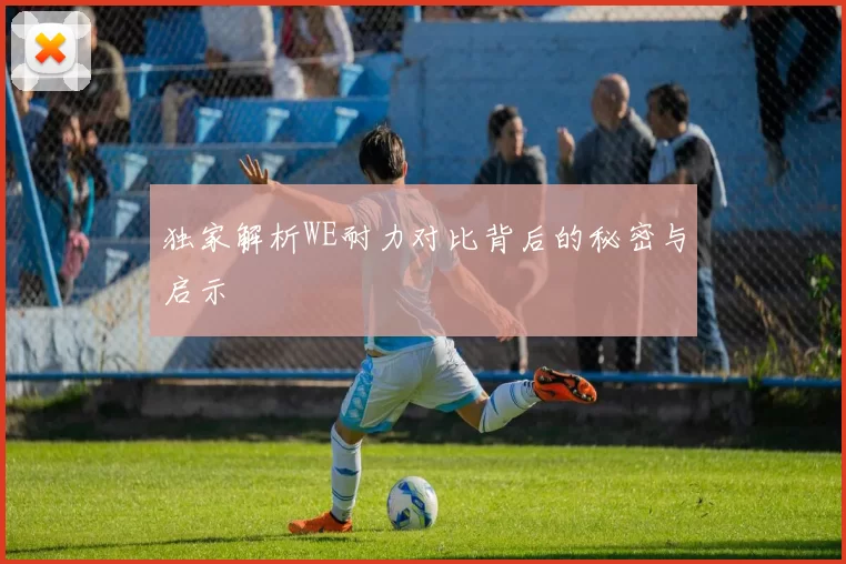 独家解析WE耐力对比背后的秘密与启示