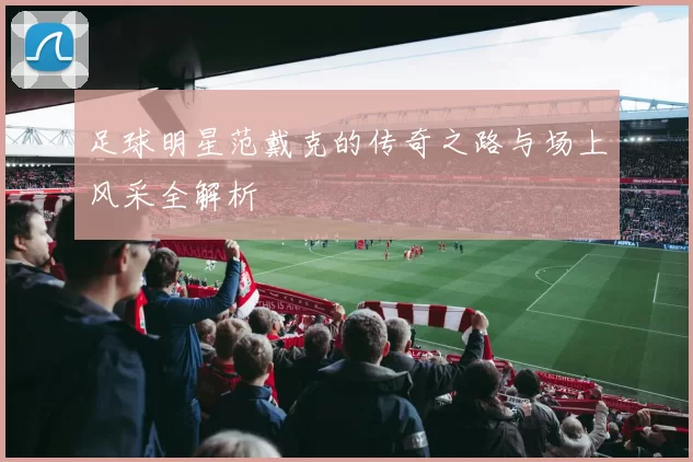 足球明星范戴克的传奇之路与场上风采全解析