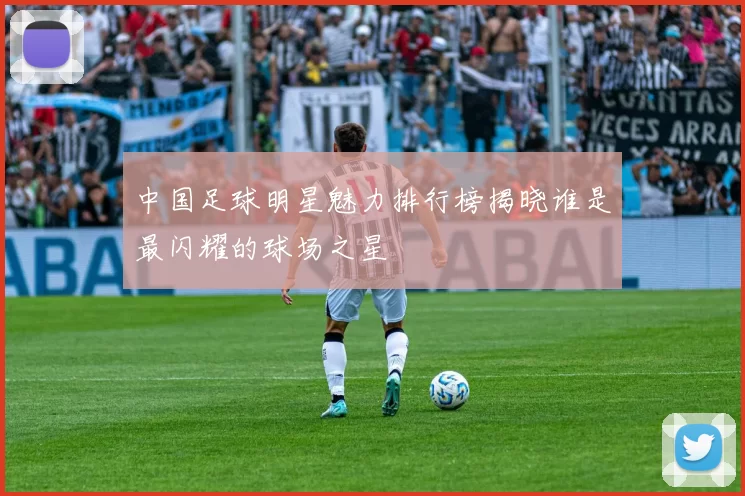 中国足球明星魅力排行榜揭晓谁是最闪耀的球场之星