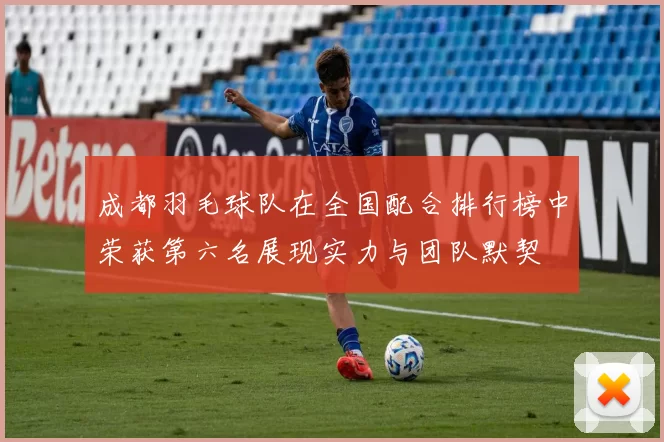 成都羽毛球队在全国配合排行榜中荣获第六名展现实力与团队默契