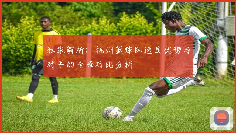 独家解析：杭州篮球队速度优势与对手的全面对比分析
