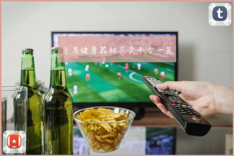 飞鸟健身器材买卖平台一览