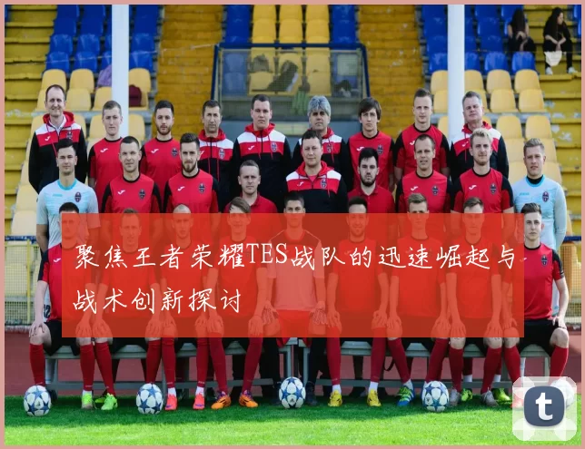 聚焦王者荣耀TES战队的迅速崛起与战术创新探讨