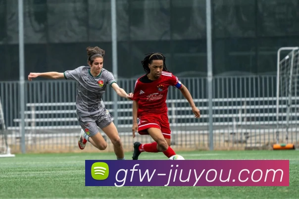 九游体育平台生态图